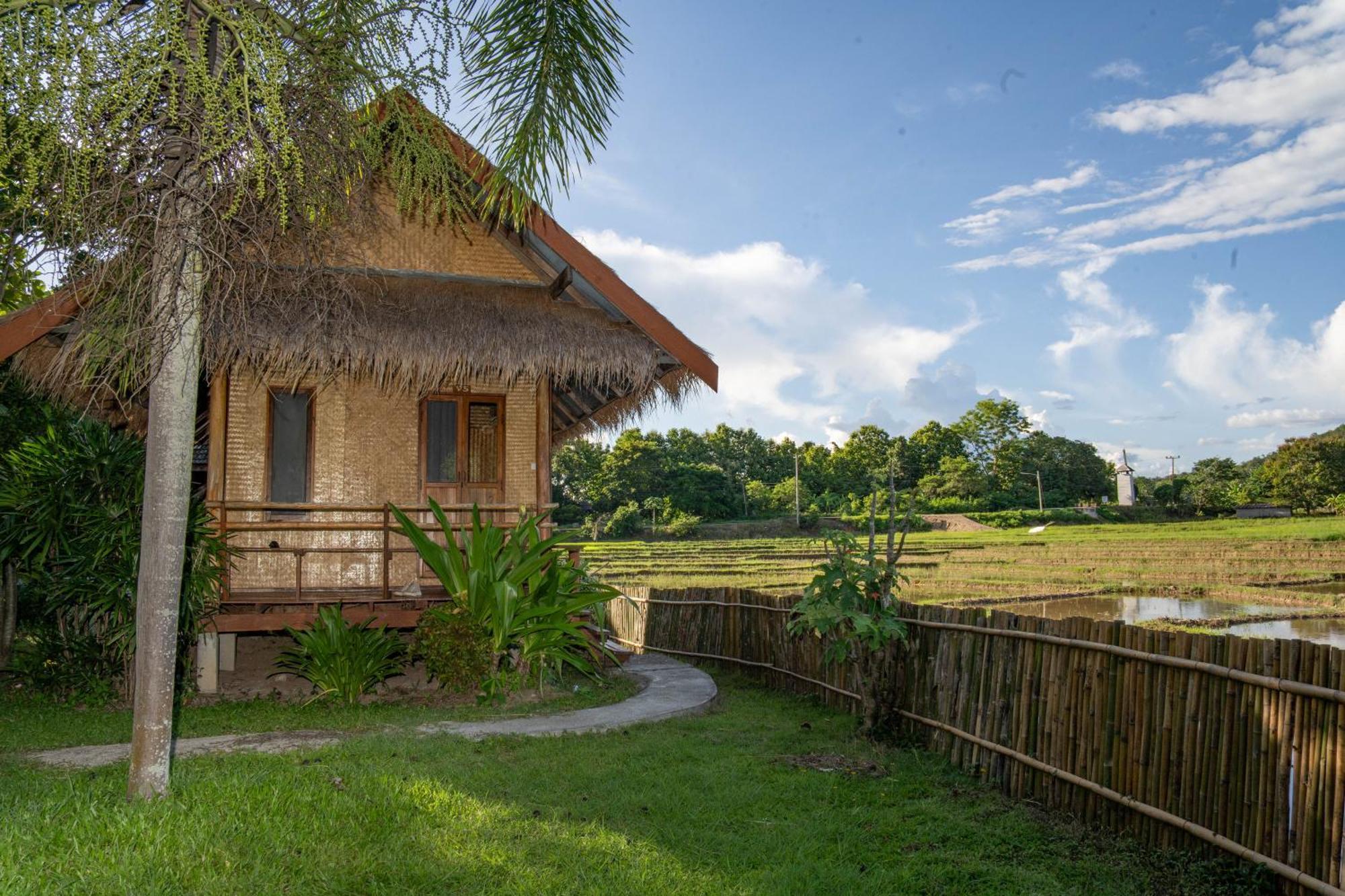 Butterfly Hostel, 拜县 外观 照片